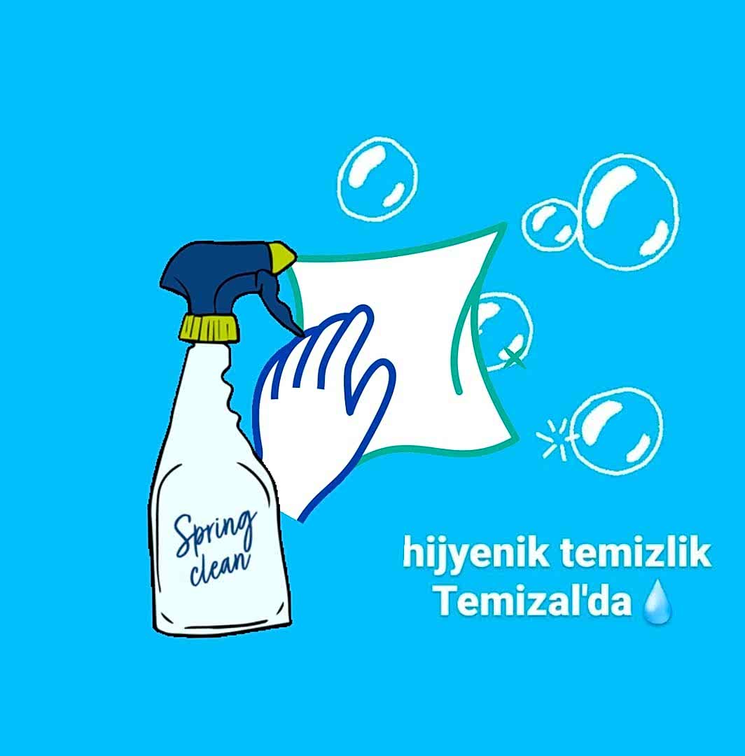 Ev Temizliğinde Kullanılan Kimyasal Maddeler